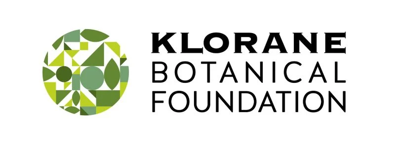 Klorane Balsamo Alla Chinina E Stella Alpina BIO Contro La Caduta Dei Capelli 200ml 4 Klorane Balsamo Alla Chinina E Stella Alpina BIO Contro La Caduta Dei Capelli 200ml - immagine 4