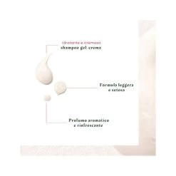 Rene Furterer Neopur Shampoo Antiforfora Secca 150ml 9 Rene Furterer Neopur Shampoo Antiforfora Secca 150ml -Negozio Di Prodotti Per La Cura l carnitine fit drink lime af972471965 1 4 1651065396