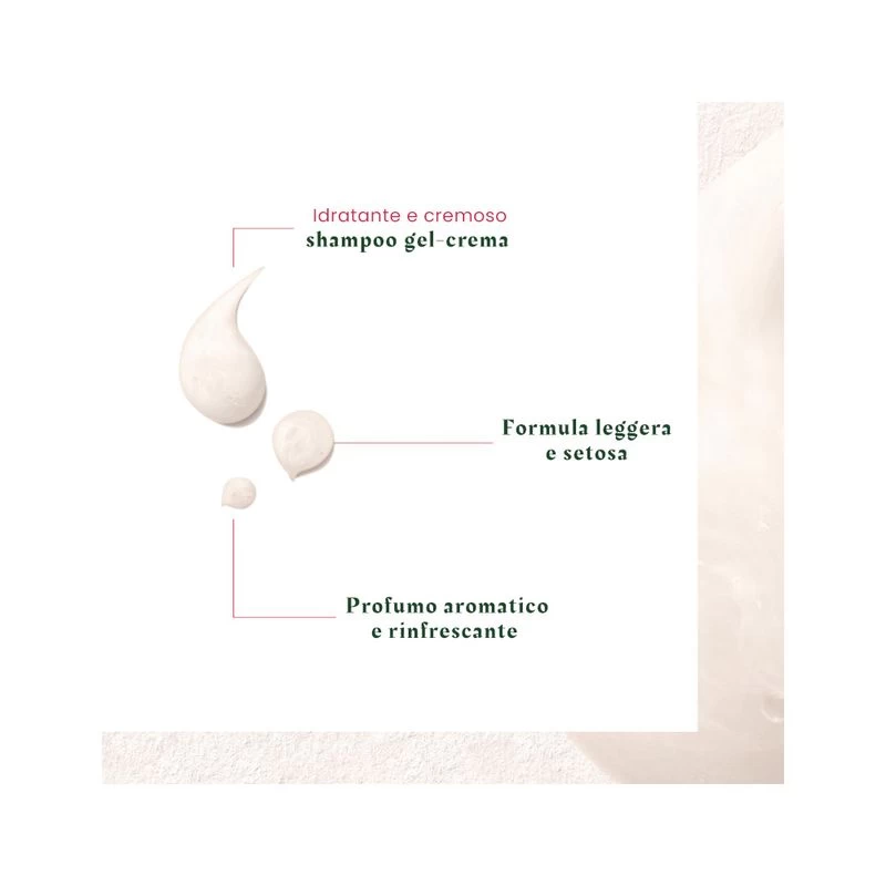 Rene Furterer Neopur Shampoo Antiforfora Secca 150ml 4 Rene Furterer Neopur Shampoo Antiforfora Secca 150ml - immagine 4