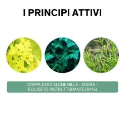 Lierac Phytolastil Soluté Concentrato Gel Correzione Smagliature 75 Ml -Negozio Di Prodotti Per La Cura lierac phytolastil solute siero correzione smagliature 75ml 4 1608593749