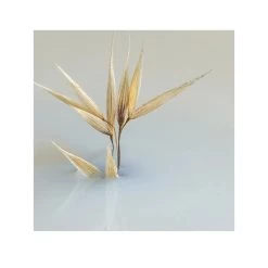 Phyto Delicato Balsamo Ad Uso Frequente Per Tutti I Tipi Di Capelli 175ml -Negozio Di Prodotti Per La Cura phyto douceur balsamo 175ml 985980313 1 2 1679673428